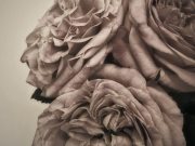miller_flowers_5