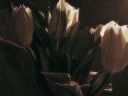miller_flowers_8