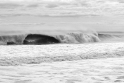IMG_7846